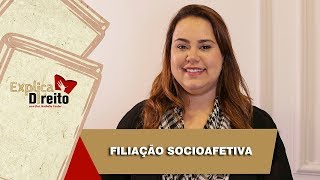 Explica Direito Filiação Socioafetiva  2019 [upl. by Seira]