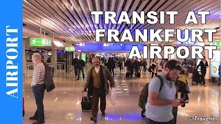 TRANSIT WALK AT FRANKFURT Airport FRA Terminal 1  Connection Flight Transfer Arriving amp Departing [upl. by Ahsaya294]